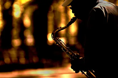 Saxophonist playing in Central Park